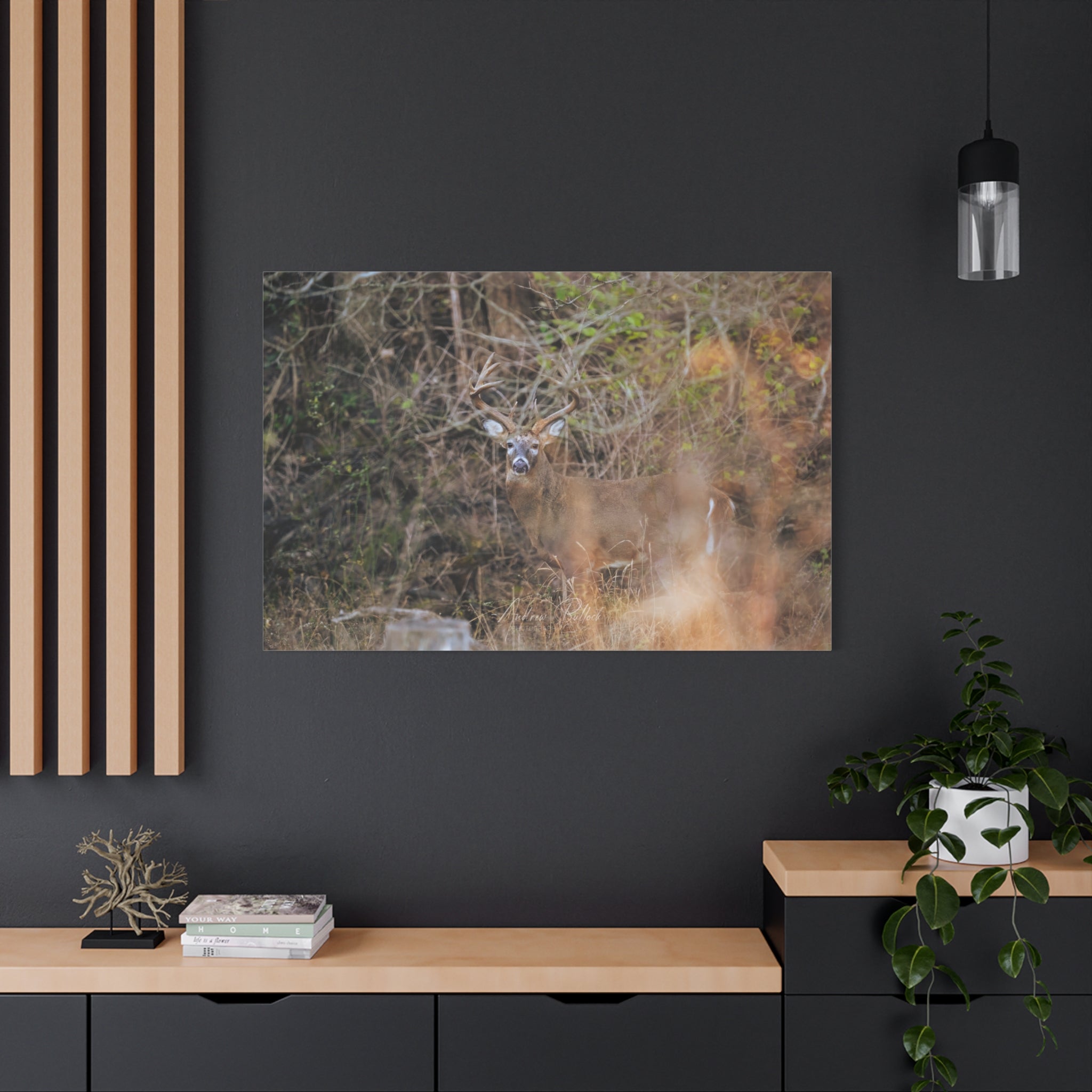 Deer in Brush Matte Canvas Print — Woodland Wildlife Wall Art