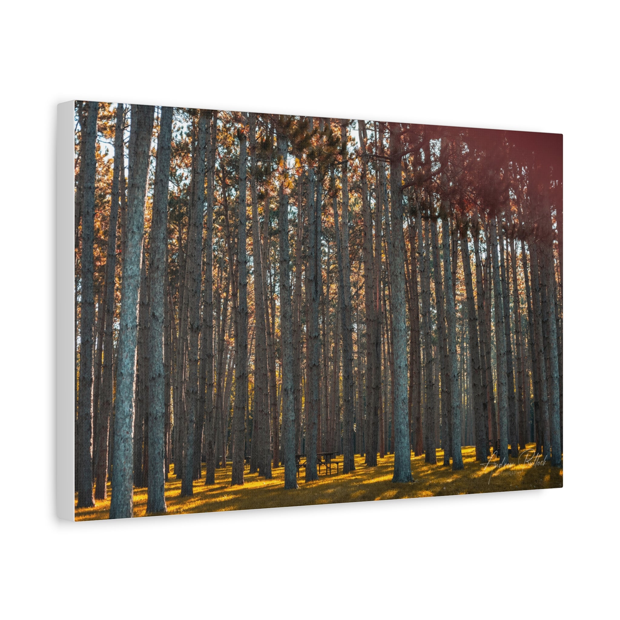 Golden Pillars Matte Canvas Print — Stretched Wall Art