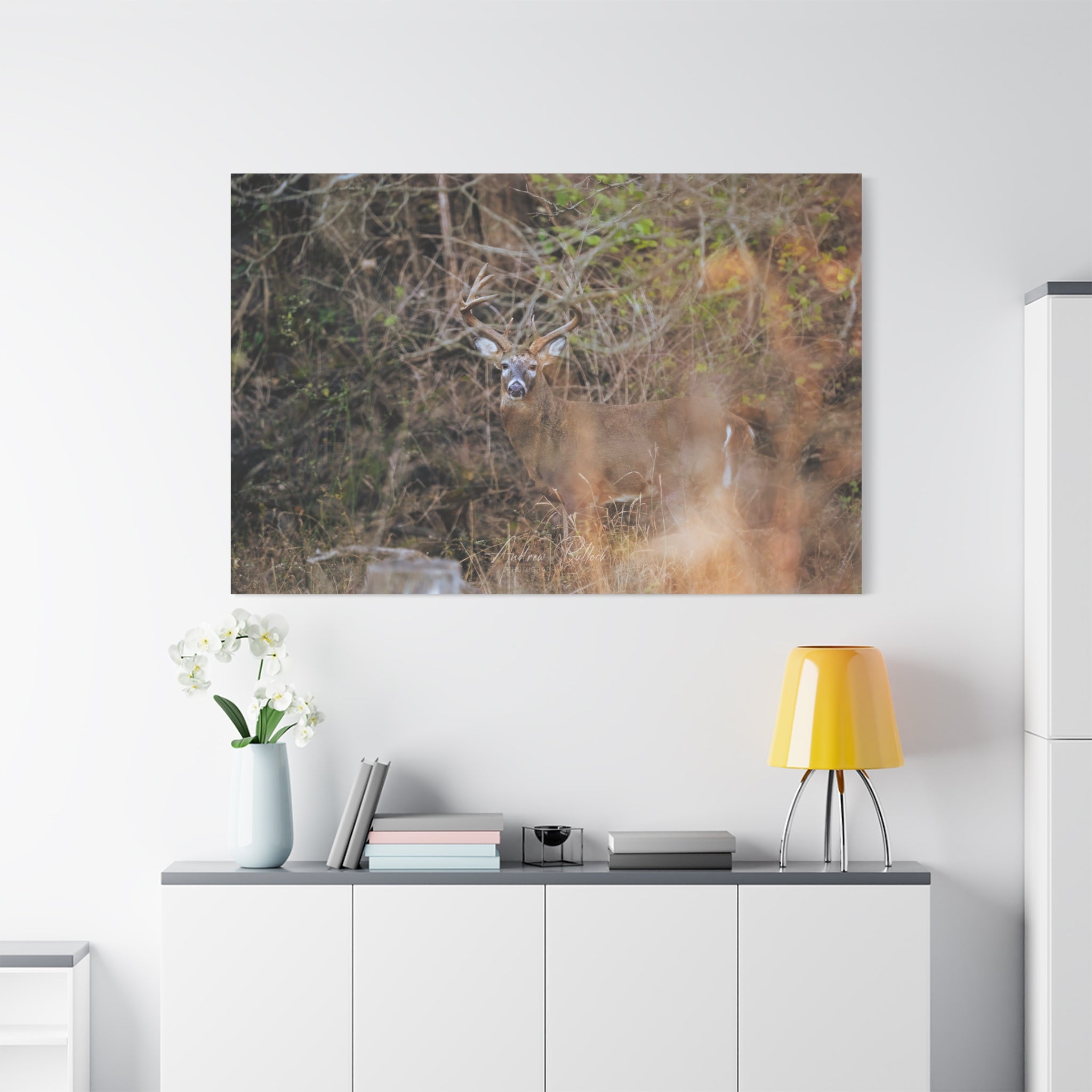 Deer in Brush Matte Canvas Print — Woodland Wildlife Wall Art