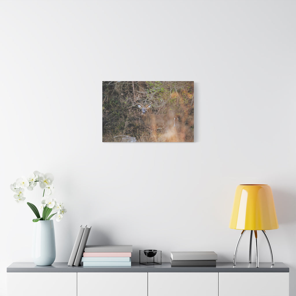 Deer in Brush Matte Canvas Print — Woodland Wildlife Wall Art