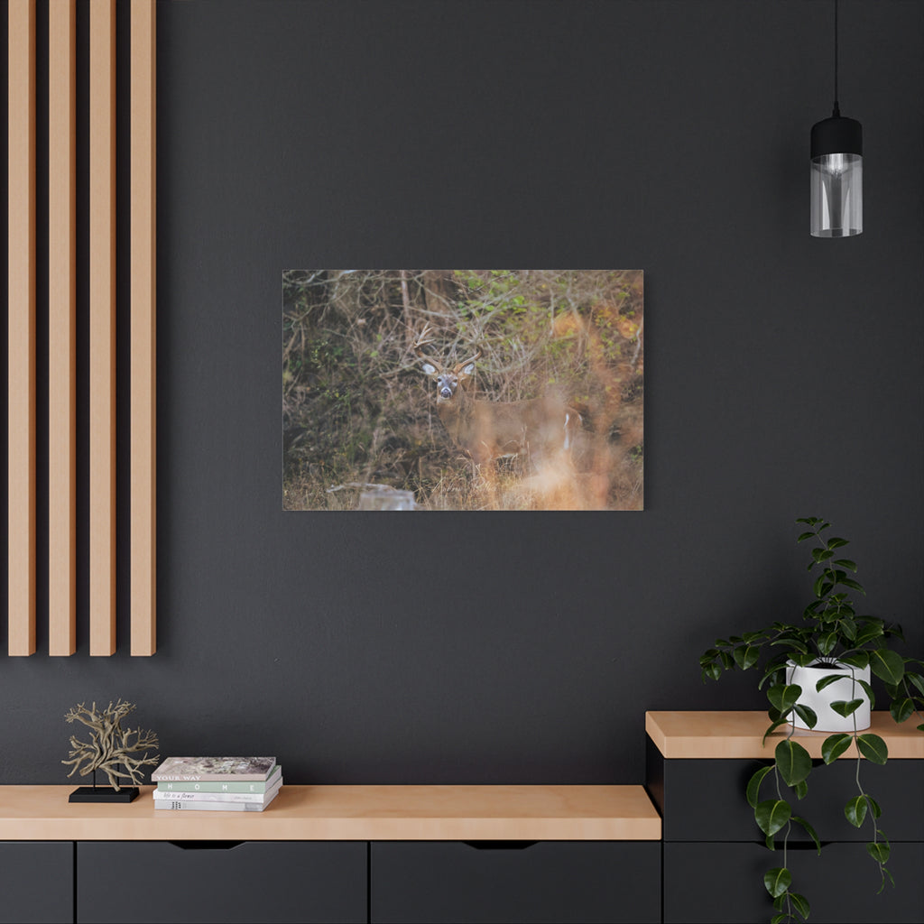Deer in Brush Matte Canvas Print — Woodland Wildlife Wall Art