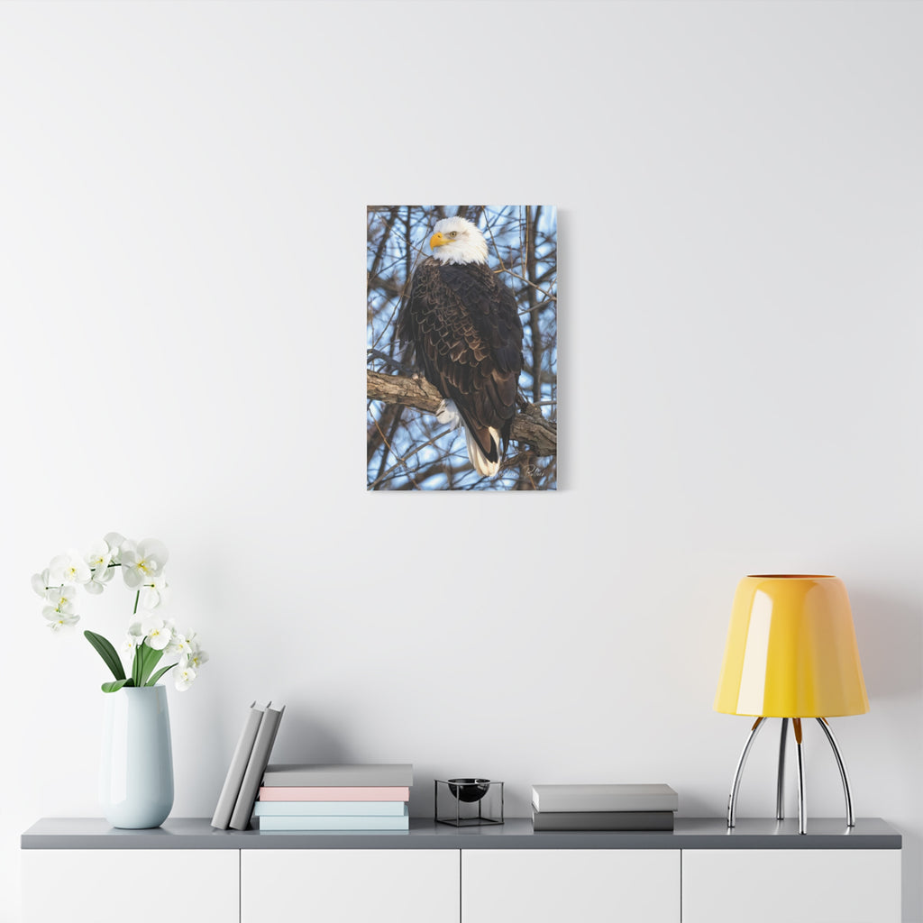 American Majesty Matte Canvas Print — Stretched Wall Art