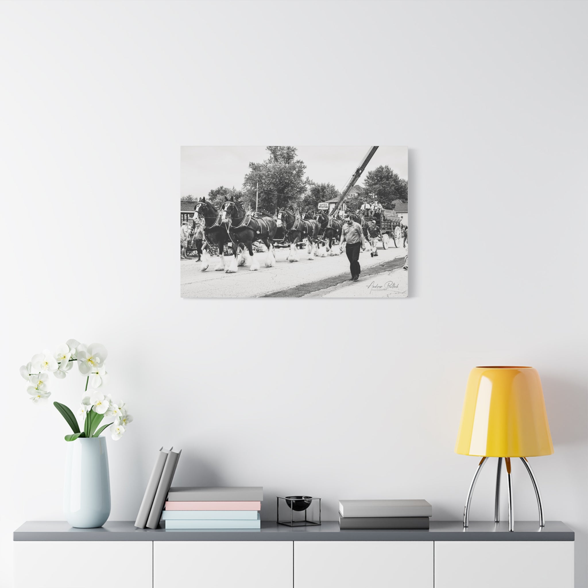 Clydesdale At Hog Days Parade Matte Canvas Print (Stretched)