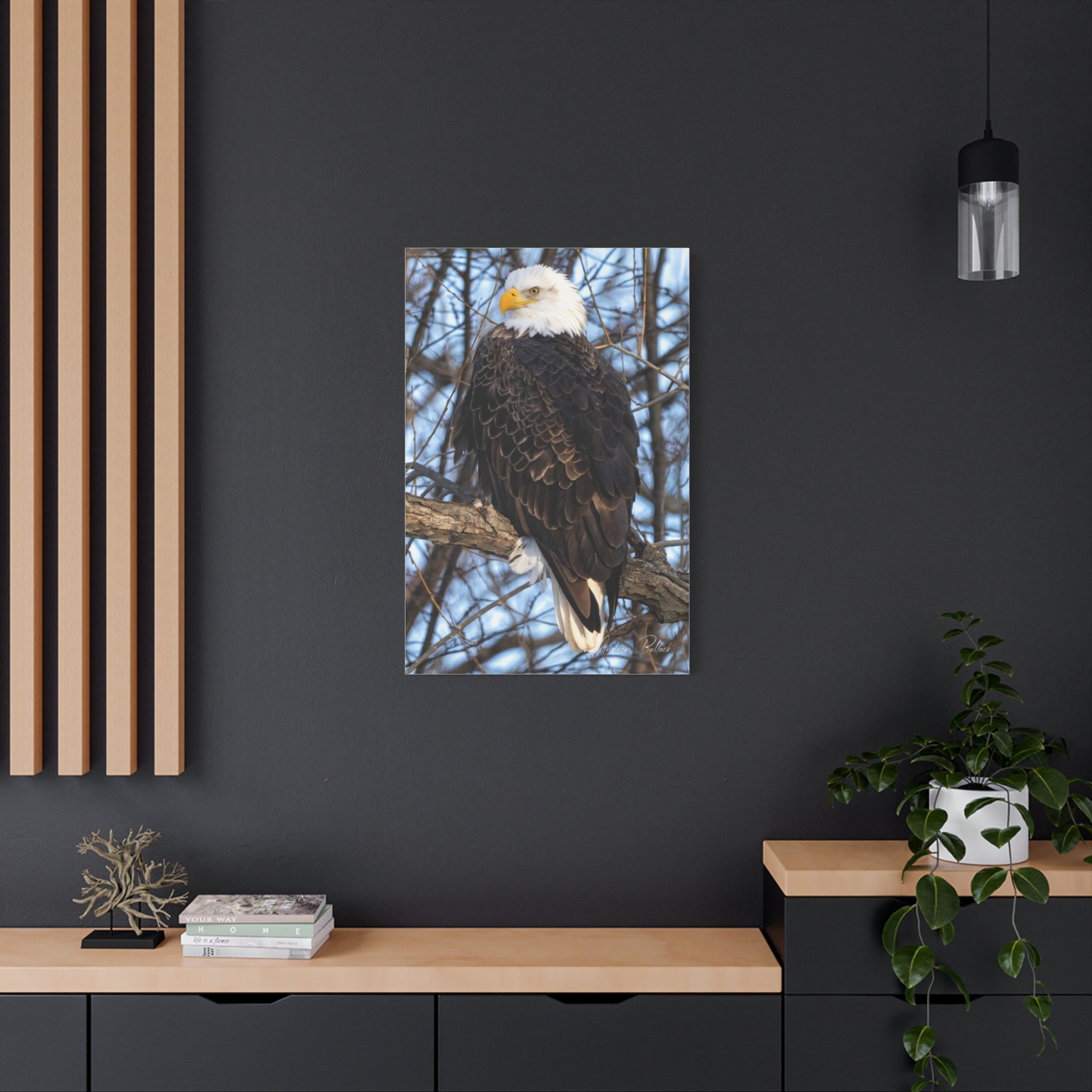 American Majesty Matte Canvas Print — Stretched Wall Art