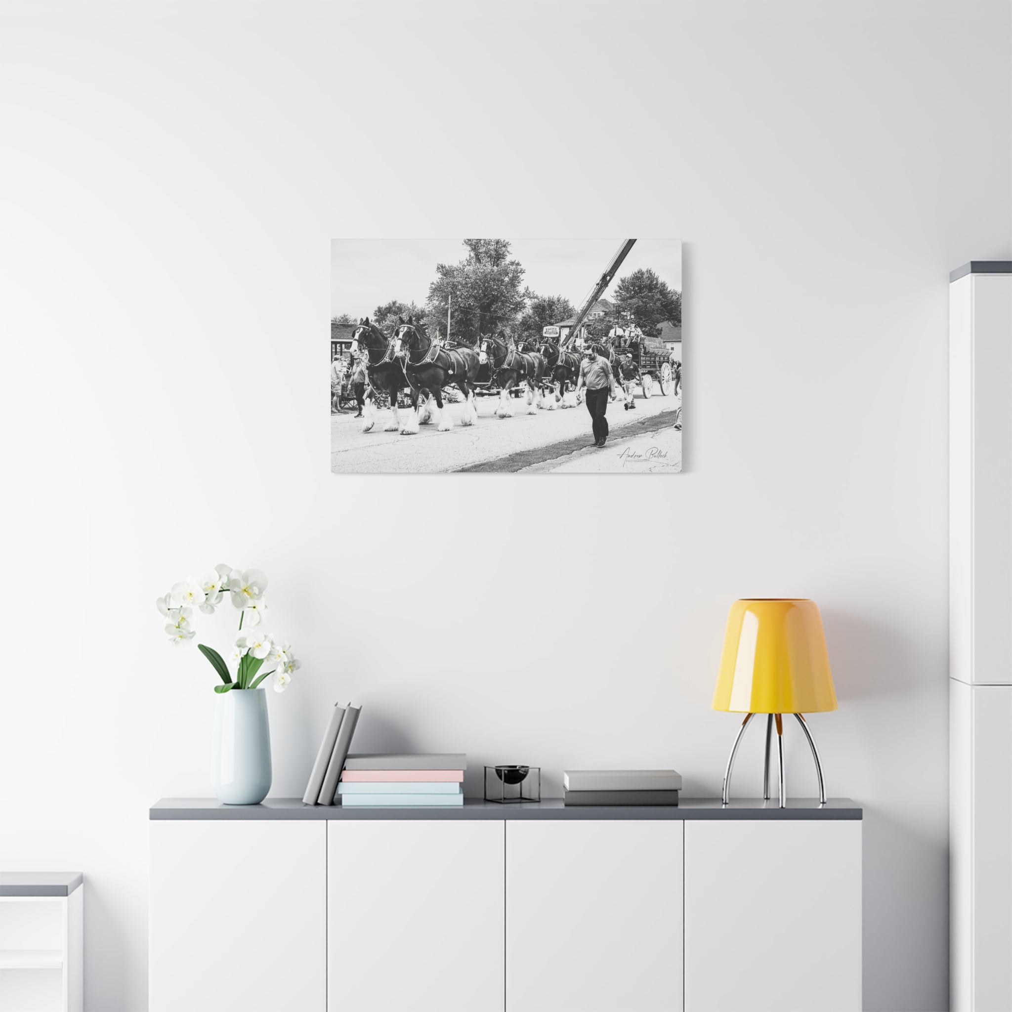 Clydesdale At Hog Days Parade Matte Canvas Print (Stretched)