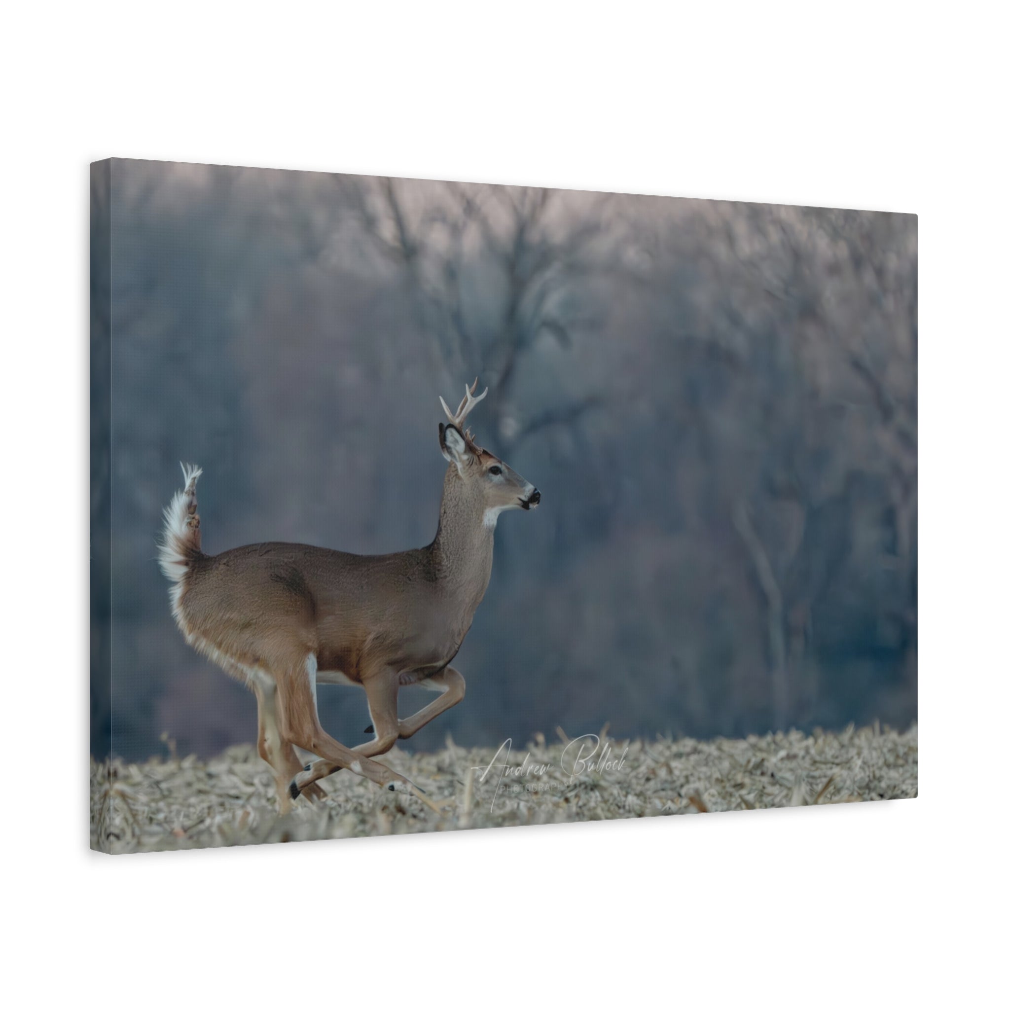 Running Whitetail Deer Canvas Wall Art – Matte Stretched Nature Print