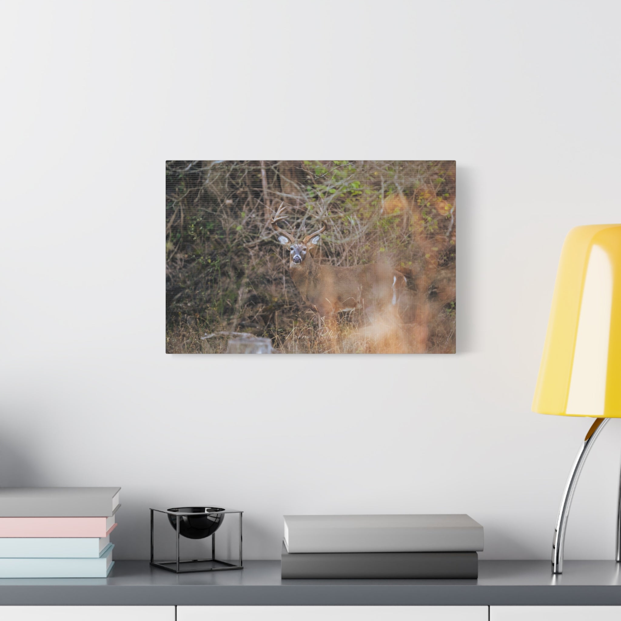 Deer in Brush Matte Canvas Print — Woodland Wildlife Wall Art