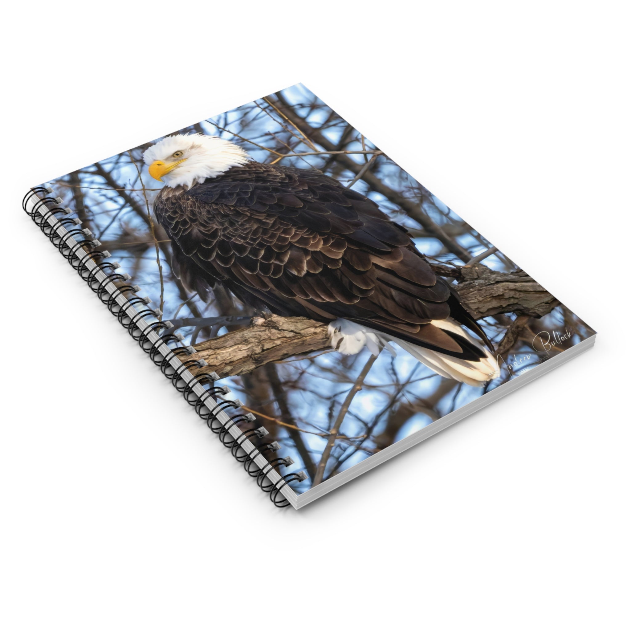 American Majesty Spiral Notebook — Wildlife Photo Ruled Journal for Bird Lovers