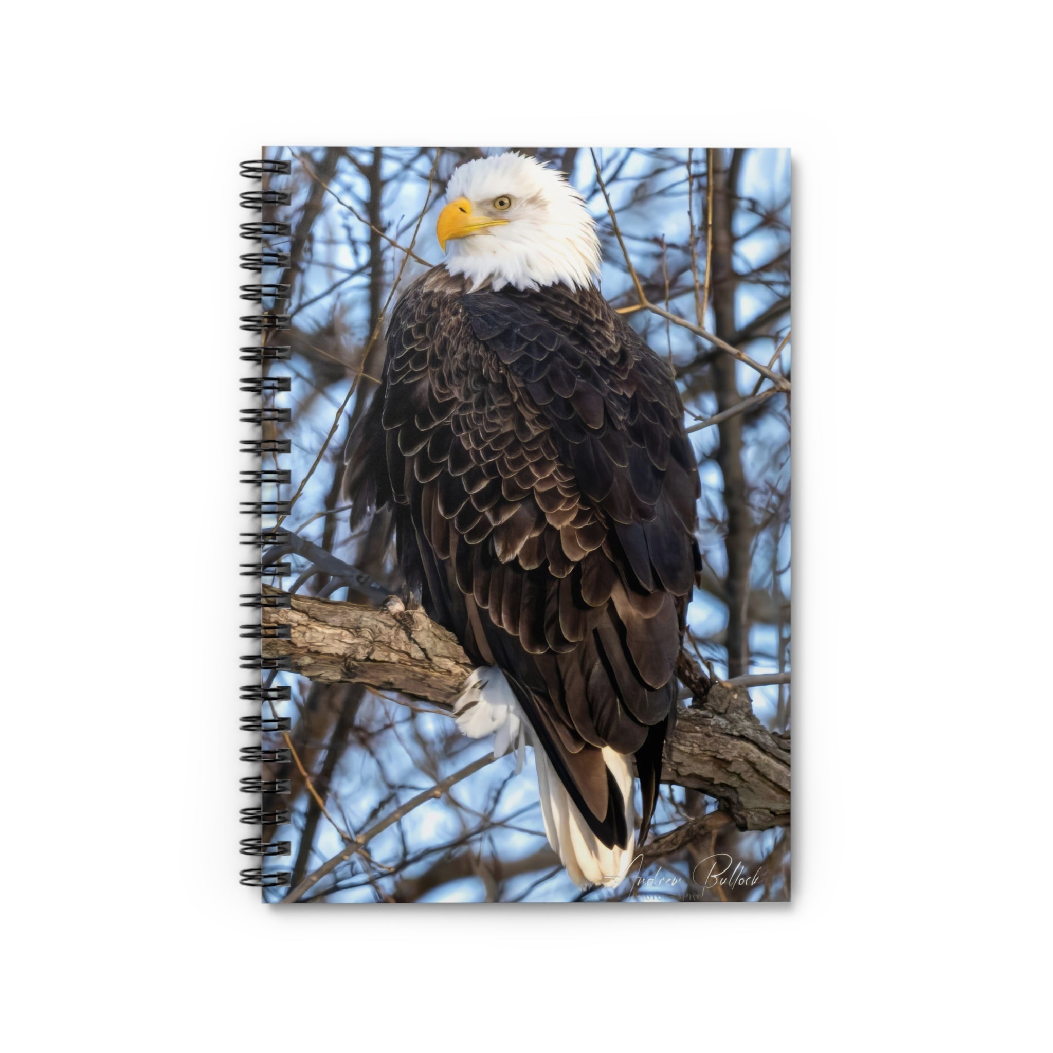 American Majesty Spiral Notebook — Wildlife Photo Ruled Journal for Bird Lovers