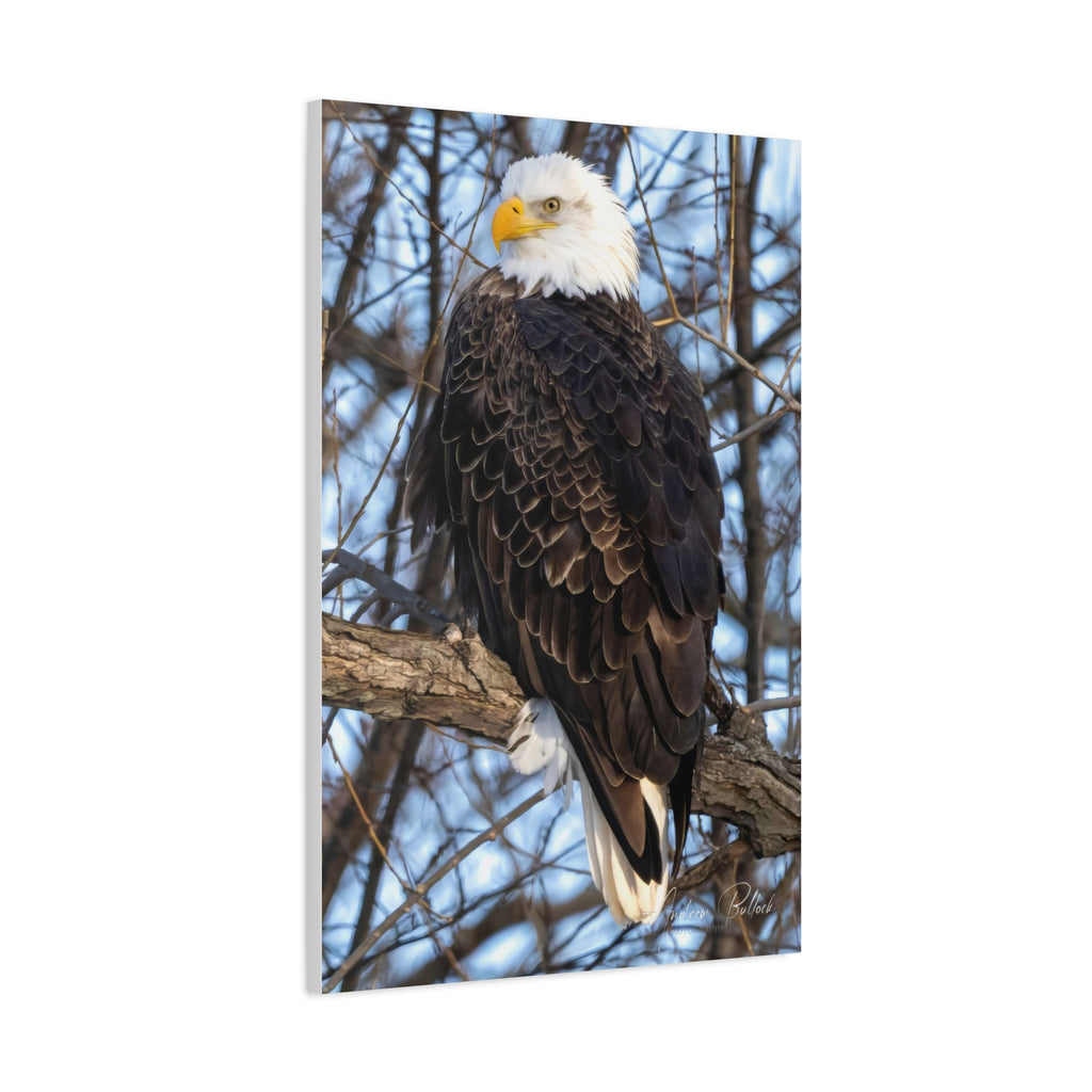 American Majesty Matte Canvas Print — Stretched Wall Art