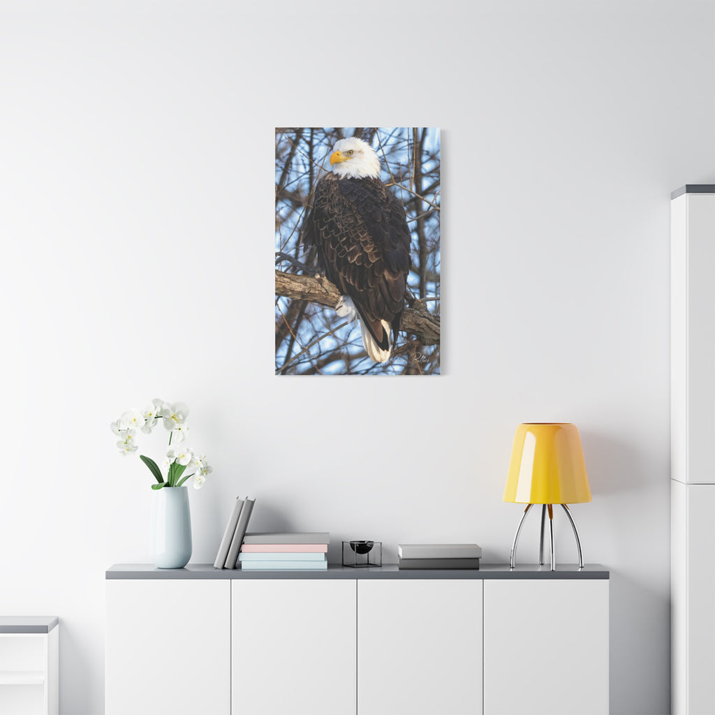 American Majesty Matte Canvas Print — Stretched Wall Art