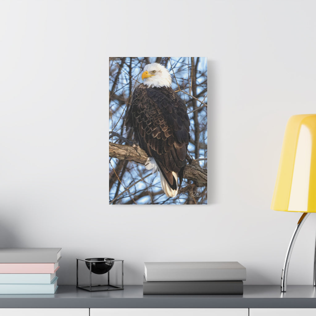 American Majesty Matte Canvas Print — Stretched Wall Art