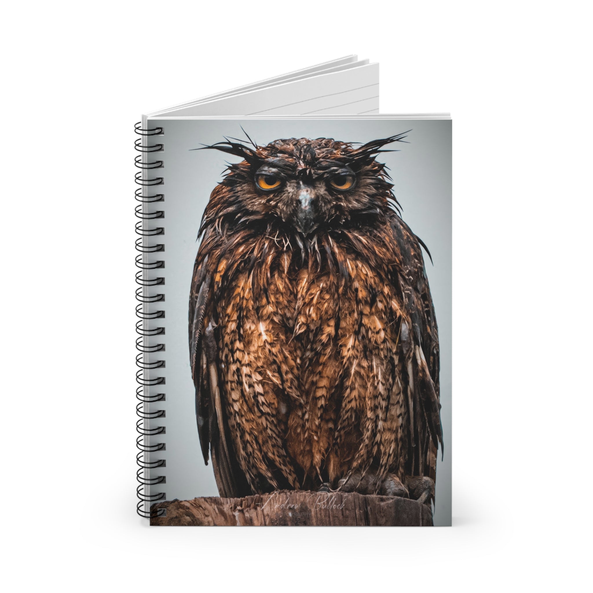 Great Horned Owl Close-Up — Lined Journal for Nature Lovers & Birdwatchers