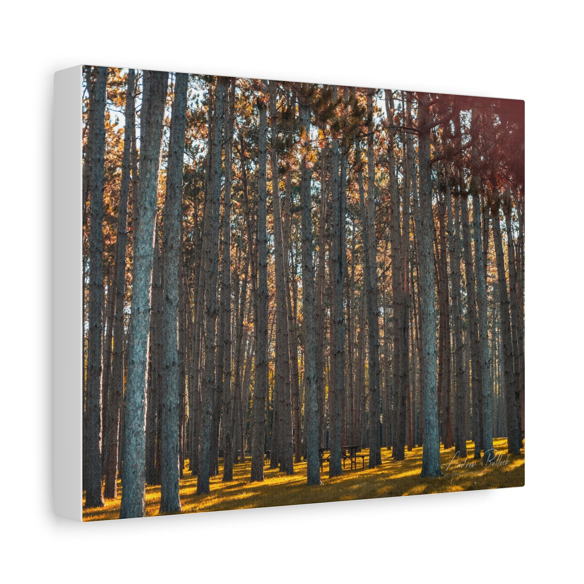 Golden Pillars Matte Canvas Print — Stretched Wall Art