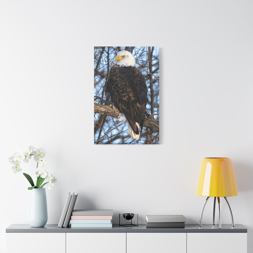 American Majesty Matte Canvas Print — Stretched Wall Art