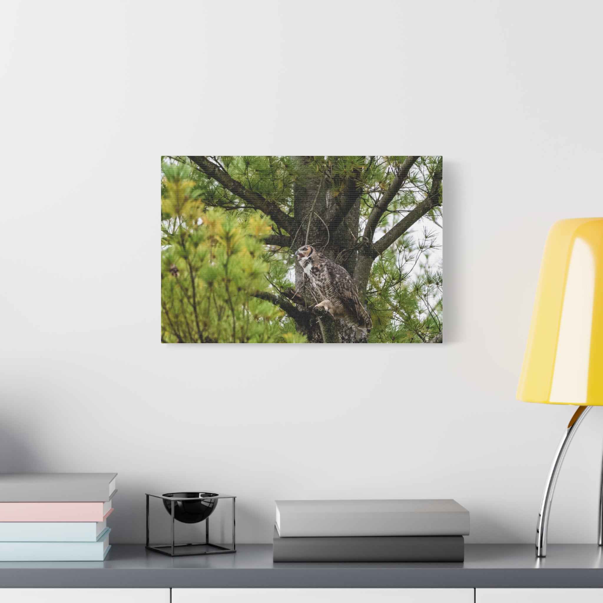 Great Horned Owl Canvas Print — Wildlife Wall Art, Matte Stretched Canvas