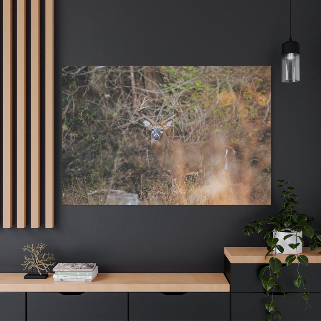 Deer in Brush Matte Canvas Print — Woodland Wildlife Wall Art