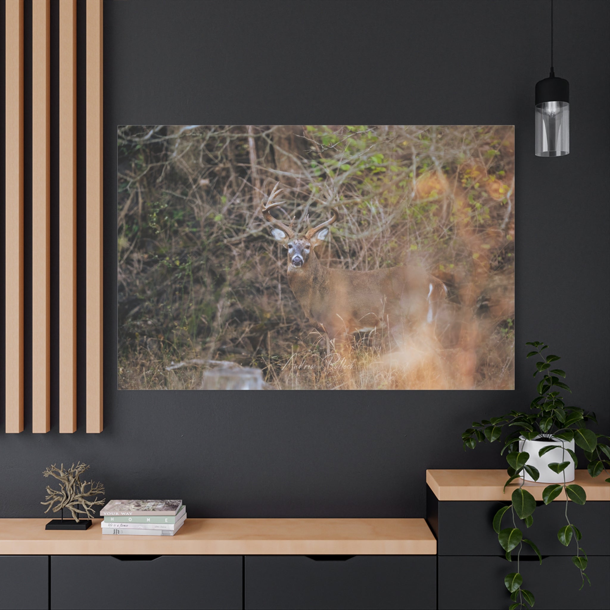 Deer in Brush Matte Canvas Print — Woodland Wildlife Wall Art