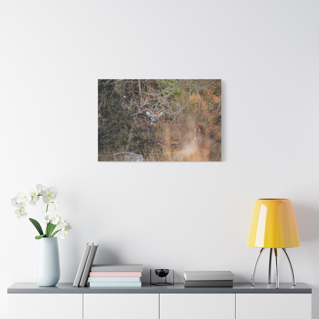 Deer in Brush Matte Canvas Print — Woodland Wildlife Wall Art