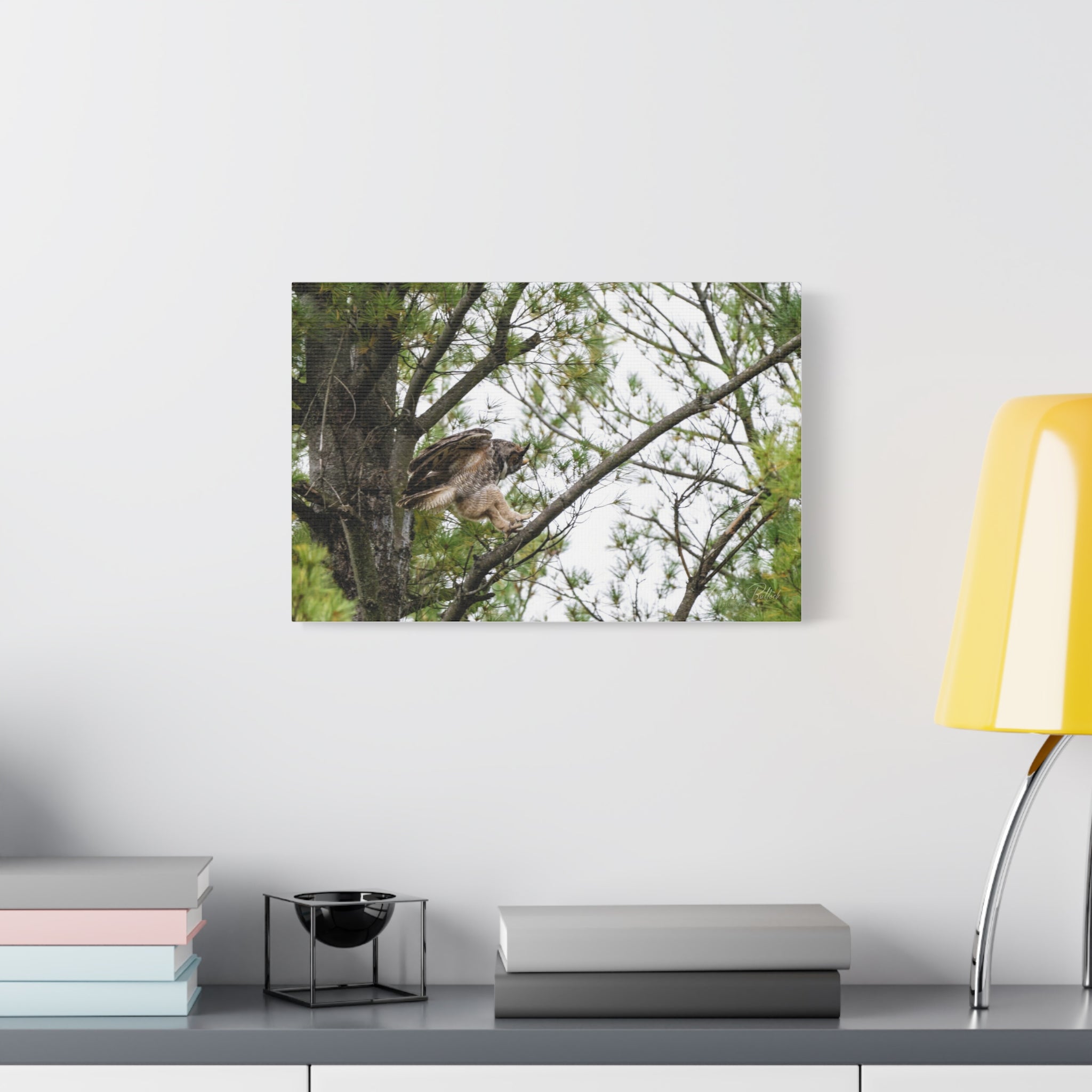 Talons Out: Great Horned Owl Canvas Print — Stretched Matte Nature Wall Art