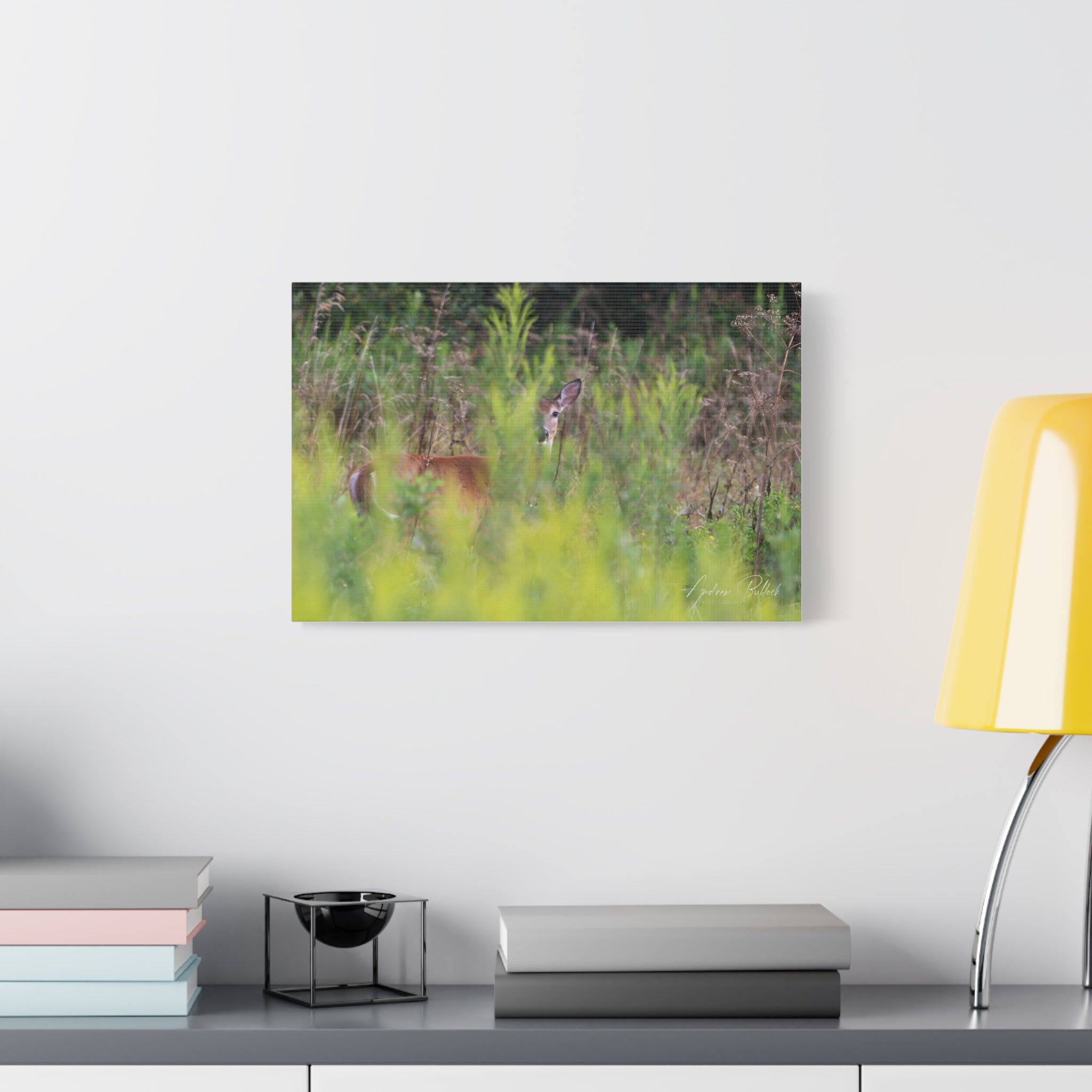 Goldenrod Gaze Matte Stretched Canvas Print — Wildlife Photography Wall Art