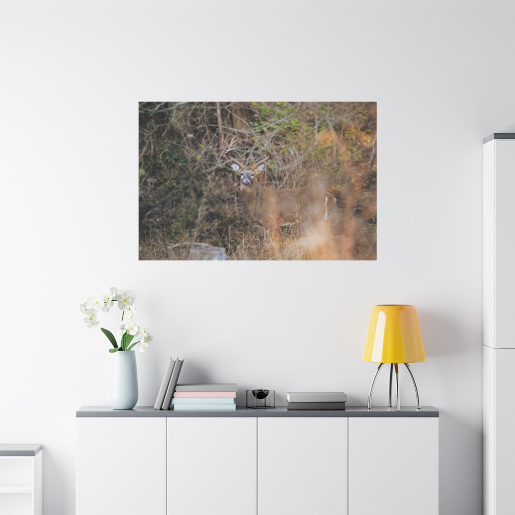 Deer in Brush Matte Canvas Print — Woodland Wildlife Wall Art