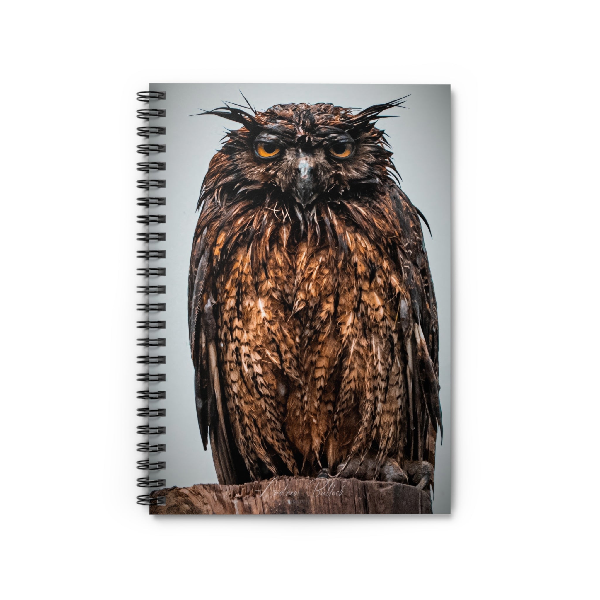 Great Horned Owl Close-Up — Lined Journal for Nature Lovers & Birdwatchers